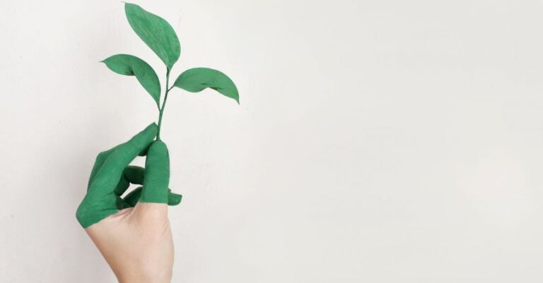 Personal Growth - Person's Left Hand Holding Green Leaf Plant