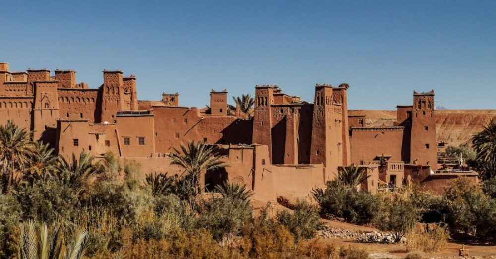 Cultural Heritage - Exterior of old masonry buildings with square shaped windows near dry sandy terrain with growing palm trees and grass under blue sky